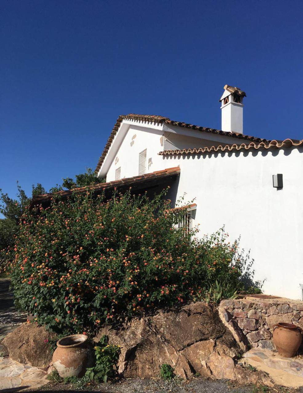 Finca Horno De Cal อาราเซนา ภายนอก รูปภาพ