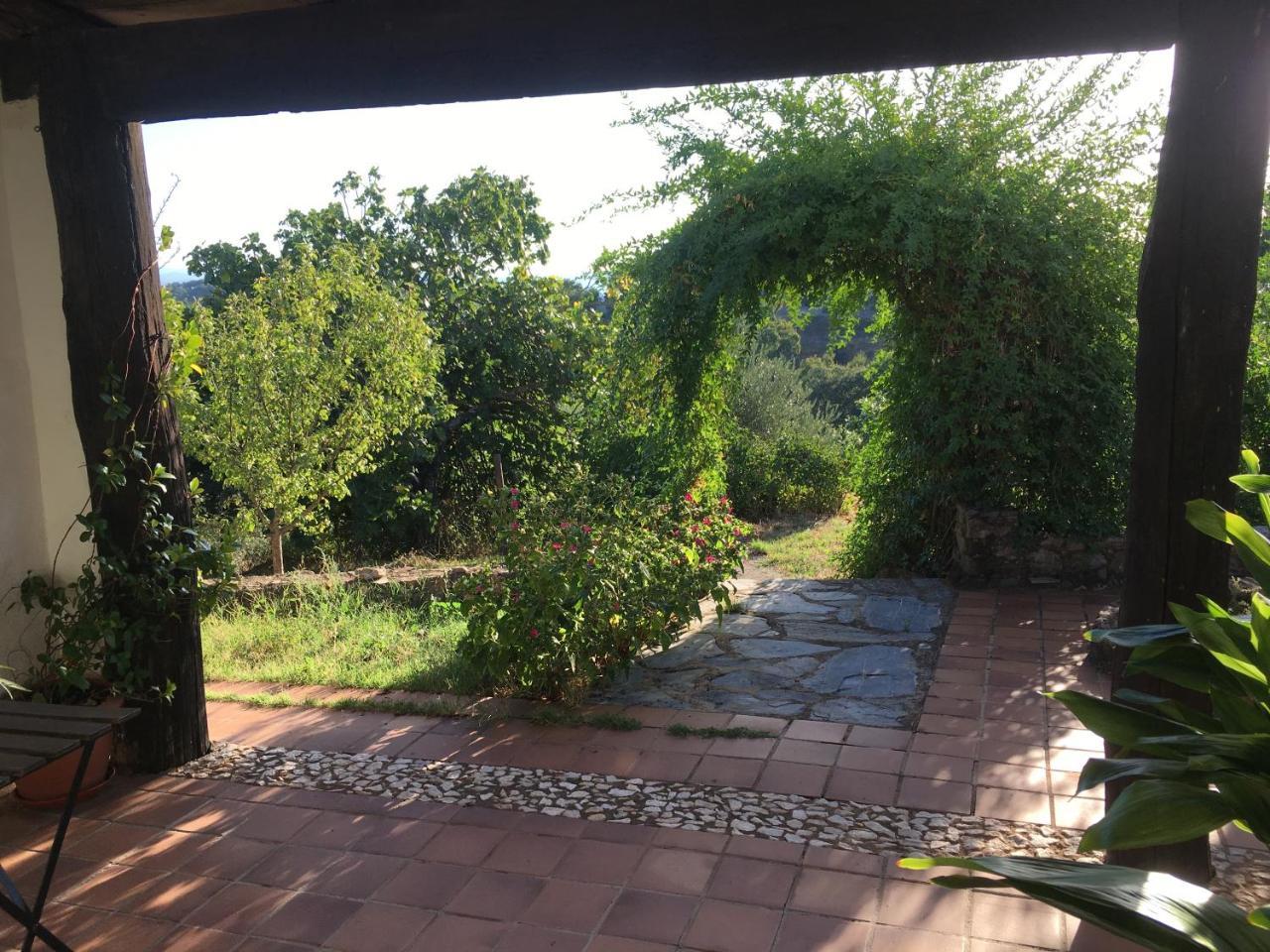 Finca Horno De Cal อาราเซนา ภายนอก รูปภาพ