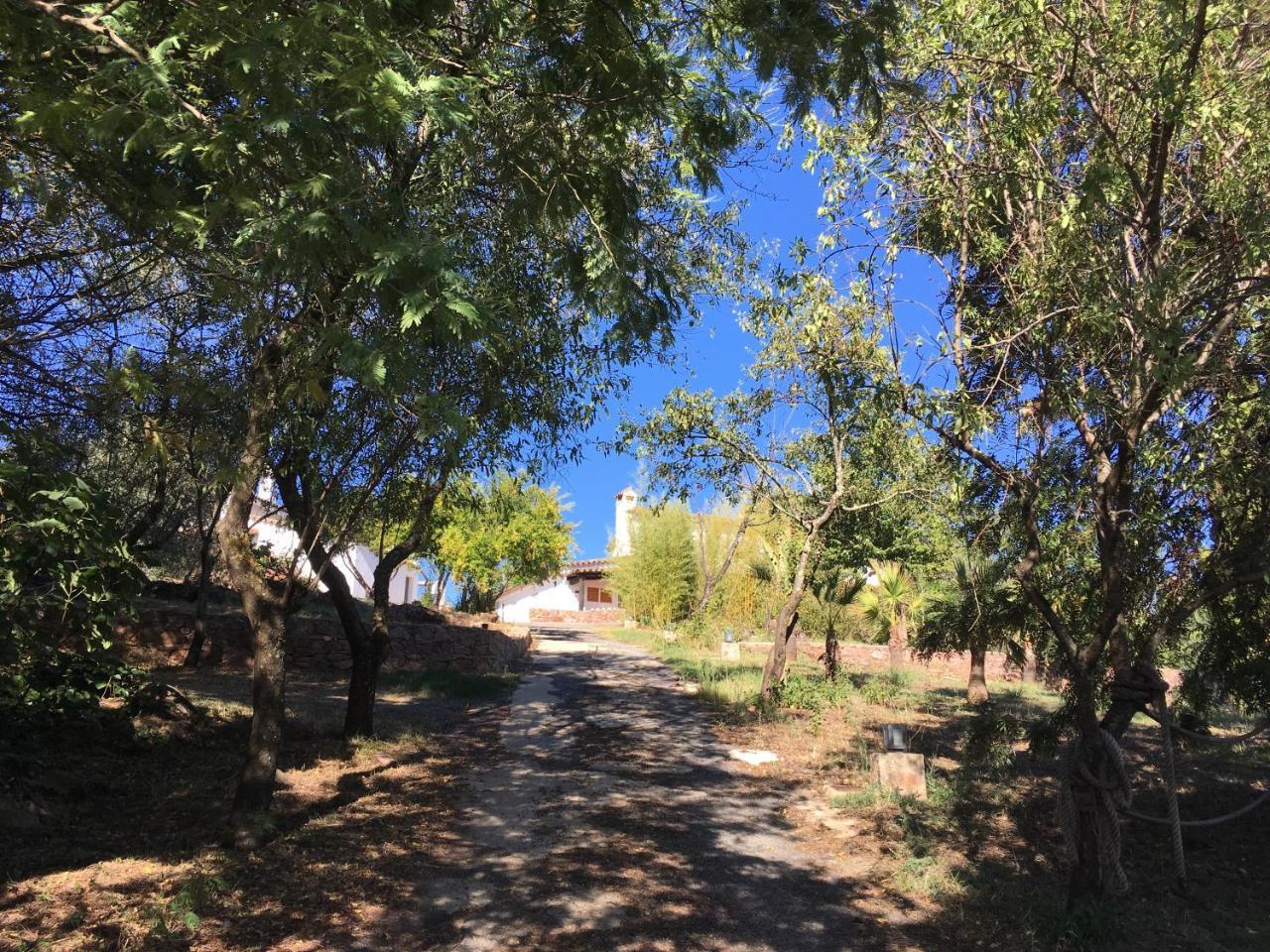 Finca Horno De Cal อาราเซนา ภายนอก รูปภาพ
